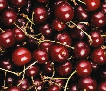 Eating for Sleep: The Best Foods to Help You Rest