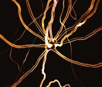 Life After Stroke — Recovery, Rehab and Reducing Your Risk