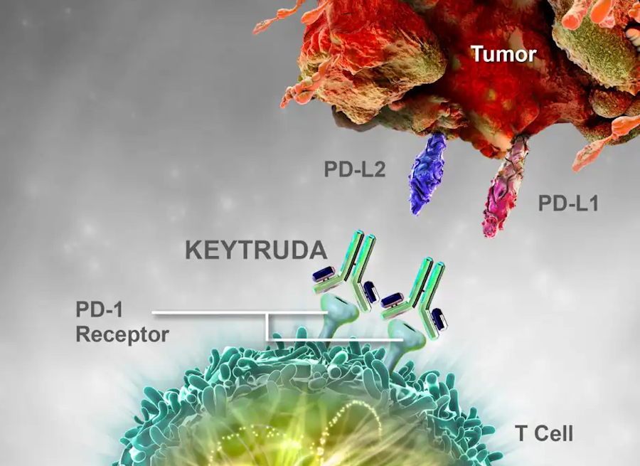 Keytruda working for patient